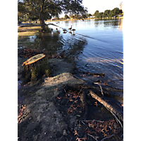 November high tide-Norfolk image